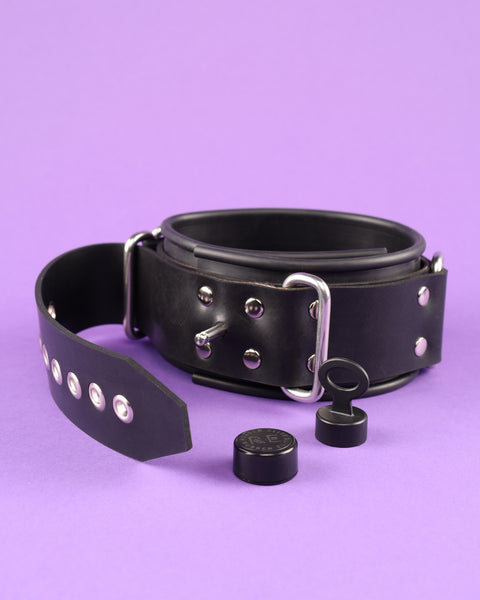 Neck Restraints